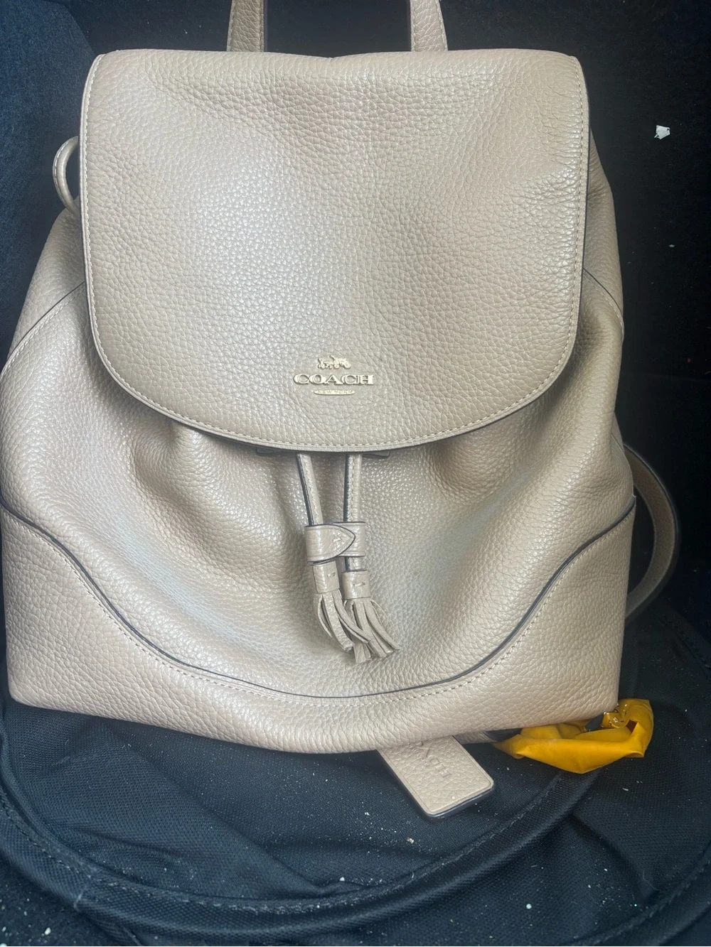 Coach Taupe Drawstring Leather Backpack